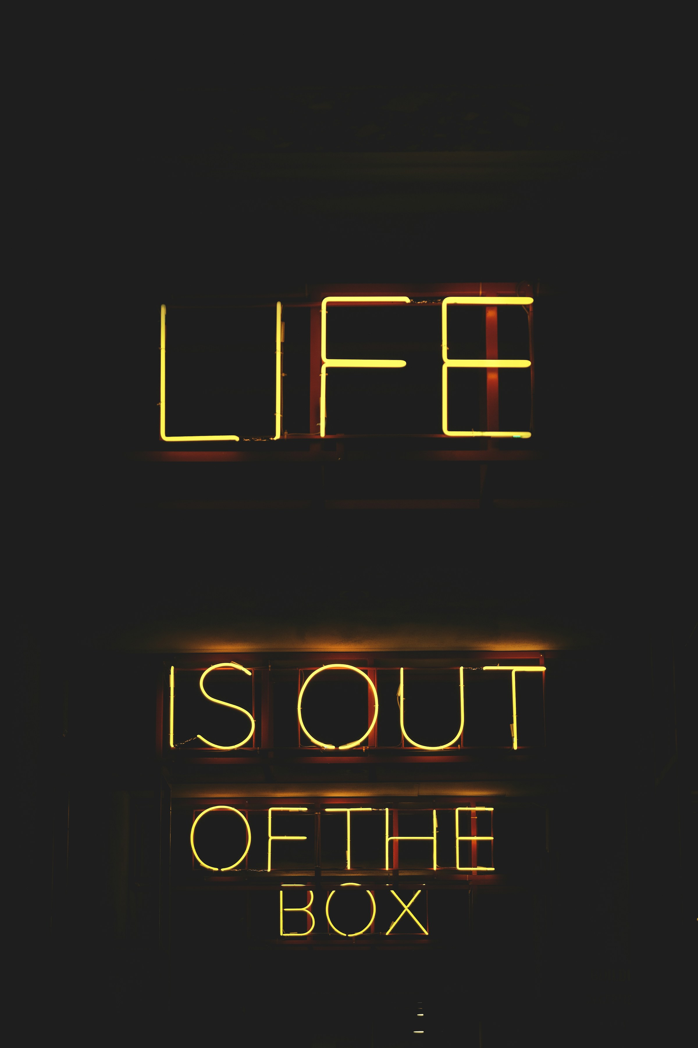 Life is out of the box